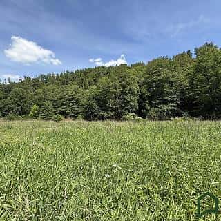 Prodej louky 3200 m² Bílovice nad Svitavou, Bílovice nad Svitavou, okres Brno-venkov