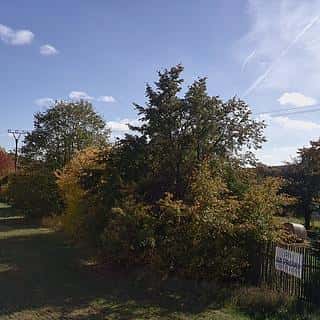 Prodej stavební parcely 5140 m² Ruprechtov, Ruprechtov, okres Vyškov