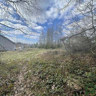 Prodej stavební parcely 1753 m² Gruna, Gruna, okres Svitavy