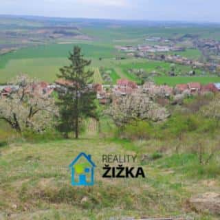 Prodej zahrady 942 m² Viničné Šumice, Viničné Šumice, okres Brno-venkov