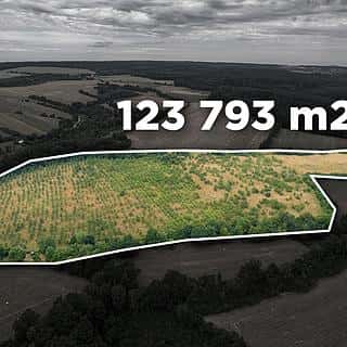 Prodej ostatních pozemků 123793 m² Zbraslavice, Zbraslavice, okres Kutná Hora