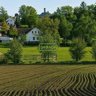 Prodej stavební parcely 6937 m² Sedlec, Sedlec, okres Litoměřice
