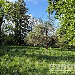 Pronájem zahrady 3333 m² Kelč, Kelč, okres Vsetín