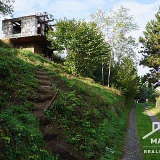 Prodej zahrady 379 m² Pašinka, Pašinka, okres Kolín