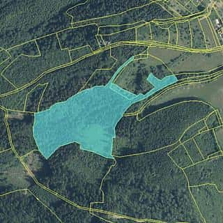 Prodej lesa 38165 m² Vsetín, Rokytnice, Vsetín