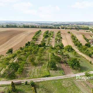 Prodej zahrady 832 m² Prace, Prace, okres Brno-venkov