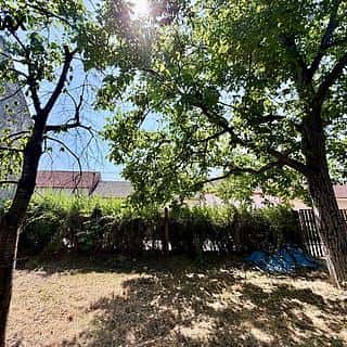 Prodej stavební parcely 256 m² Ostrožská Nová Ves, Ostrožská Nová Ves, okres Uherské Hradiště