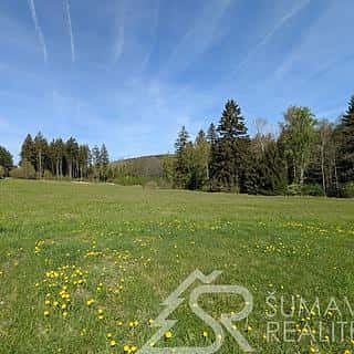 Prodej stavební parcely 8869 m² Soběšice, Soběšice, okres Klatovy