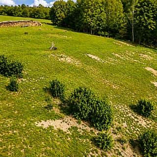 Prodej stavební parcely 1022 m² Dětřichov, Dětřichov, okres Svitavy