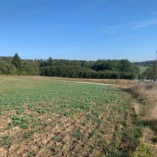 Prodej stavební parcely 9675 m² Postupice, Postupice, okres Benešov