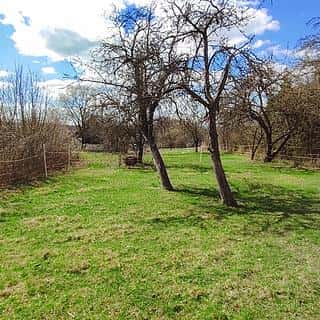 Prodej stavební parcely 2605 m² Vísky, Vísky, okres Blansko