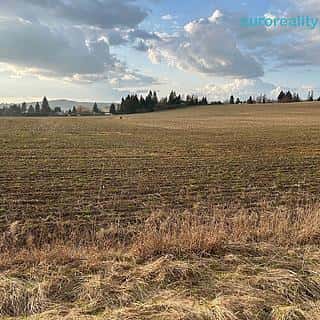 Prodej stavební parcely 10000 m² Tachov, Tachov
