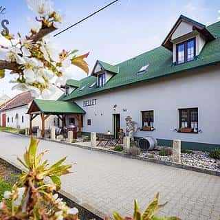 Prodej hotelu, penzionu 333 m² Březí, Na štěrkách, Březí, okres Břeclav