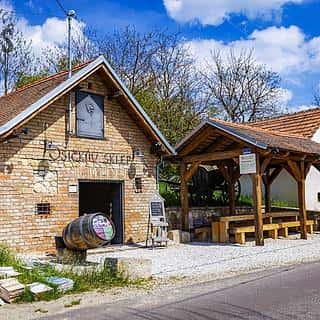 Prodej vinného sklepa 60 m² Novosedly, Novosedly, okres Břeclav