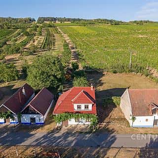 Prodej ostatního 83 m² Blatnice pod Svatým Antonínkem, Blatnice pod Svatým Antonínkem, okres Hodonín