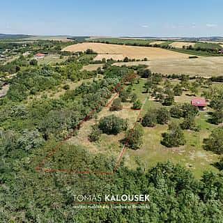 Prodej zahrady 2371 m² Dolní Kounice, Dolní Kounice, okres Brno-venkov