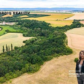 Prodej zemědělské půdy 2841 m² Staňkovice, Staňkovice, okres Louny