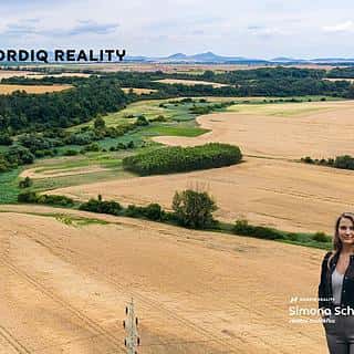 Prodej zemědělské půdy 7506 m² Staňkovice, Staňkovice, okres Louny