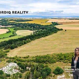 Prodej zemědělské půdy 31926 m² Staňkovice, Staňkovice, okres Louny