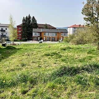 Pronájem zahrady 763 m² Tachov, Na Třešňovce, Tachov