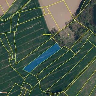 Prodej zemědělské půdy 18722 m² Křižanov, Zámek, Křižanov, okres Žďár nad Sázavou