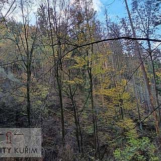 Prodej lesa 11258 m² Horní Loučky, Horní Loučky, okres Brno-venkov