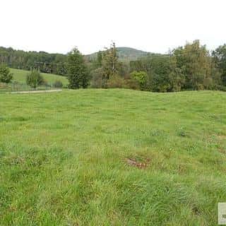 Prodej stavební parcely 6828 m² Malšovice, Malšovice, okres Děčín