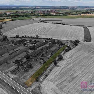 Prodej zahrady 1293 m² Vlkoš, Vlkoš, okres Hodonín