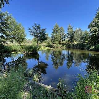 Prodej stavební parcely 4463 m² Břeclav, Břeclav
