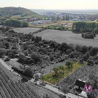 Prodej zahrady 1256 m² Mikulov, Nová, Mikulov, okres Břeclav
