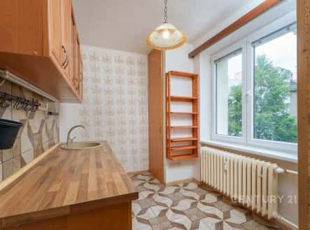Prodej bytu, 2+1, 53 m², Hartigova, Praha 3 – Žižkov