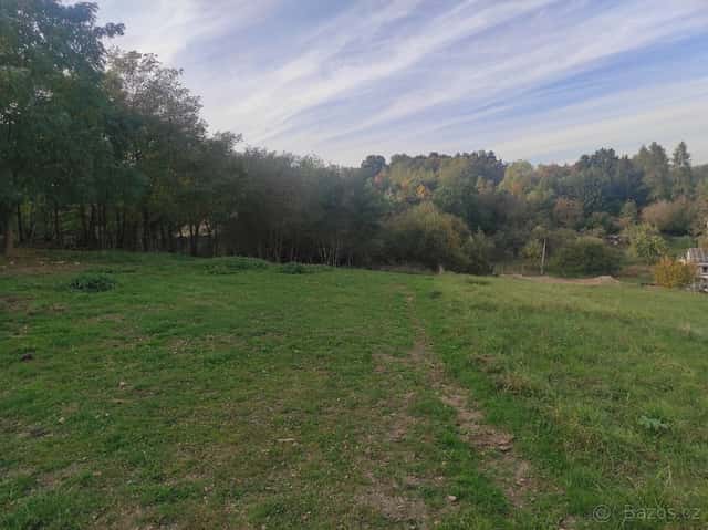 Pronajmu louku - pastvinu 10000 m2, okres Praha-východ
