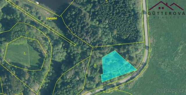 Prodej rybníku 2 771 m², Lesná, ev.č. xIGP071, okres Tachov