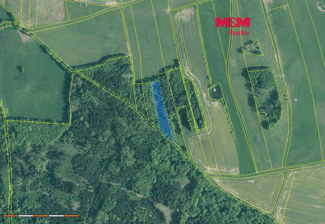 Prodej lesa, 5564 m², Skály, okres Písek