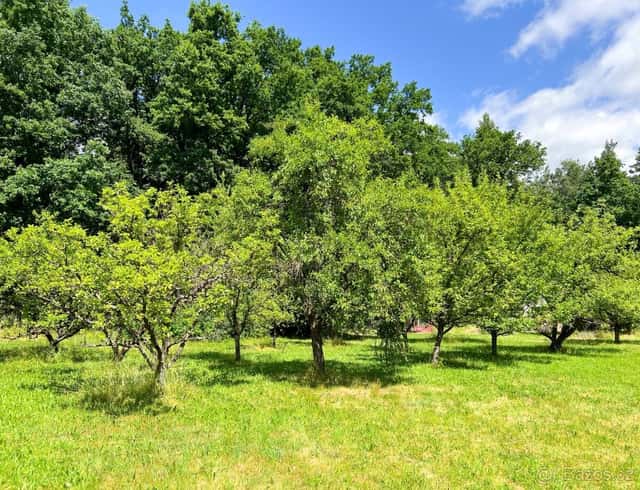 Zahrada 1483 m², se zděnou stavbou, ovocným sadem a sklepem, okres Strakonice