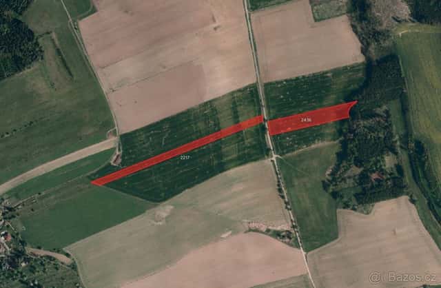 Zemědělská půda, prodej, Bobrová, Žďár nad Sázavou, okres Žďár nad Sázavou