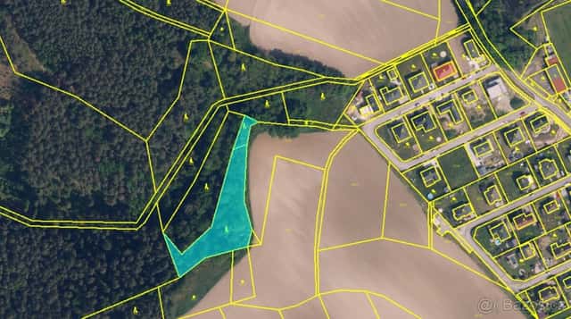 Prodej lesa poblíž Mnichova Hradiště, okres Mladá Boleslav