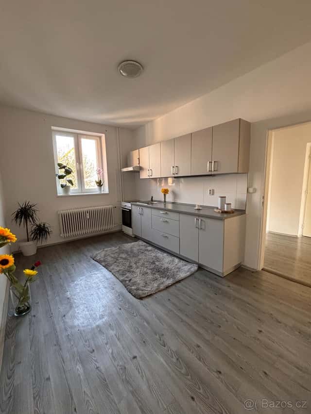Pronájem bytu 1+1 47 m², ulice Prostorná, Ostrava., okres Ostrava-město