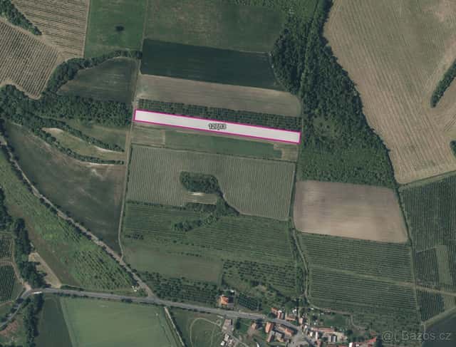 Sady, vinice, prodej, Želkovice, Louny, okres Louny
