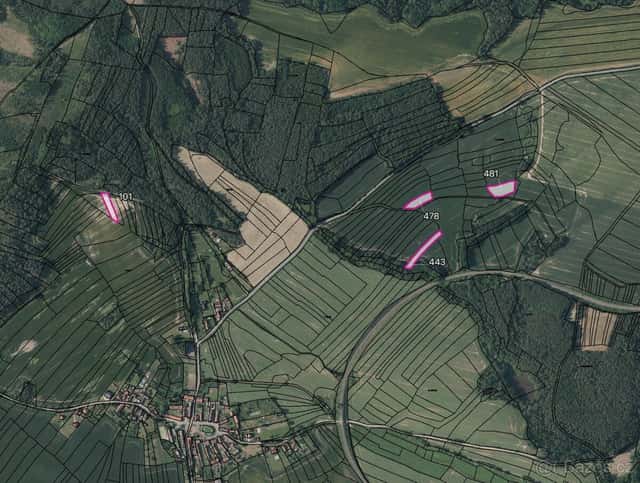 Zemědělská půda, prodej, Chrášťovice, Mladotice, Plzeň sever, okres Plzeň-sever
