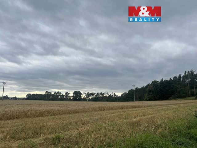 Prodej lesa, 4321 m, Tři Dvory, Tři Dvory, okres Kolín