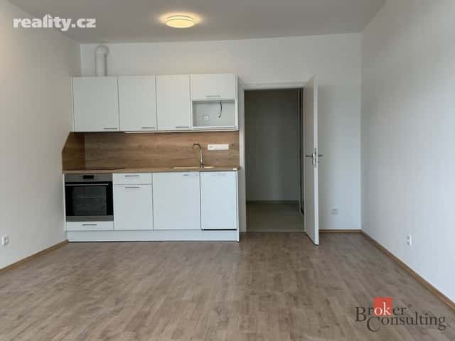 Prodej byt 1+kk, 46 m², osobní, Železná, Plzeň – Jižní Předměstí, okres Plzeň-město